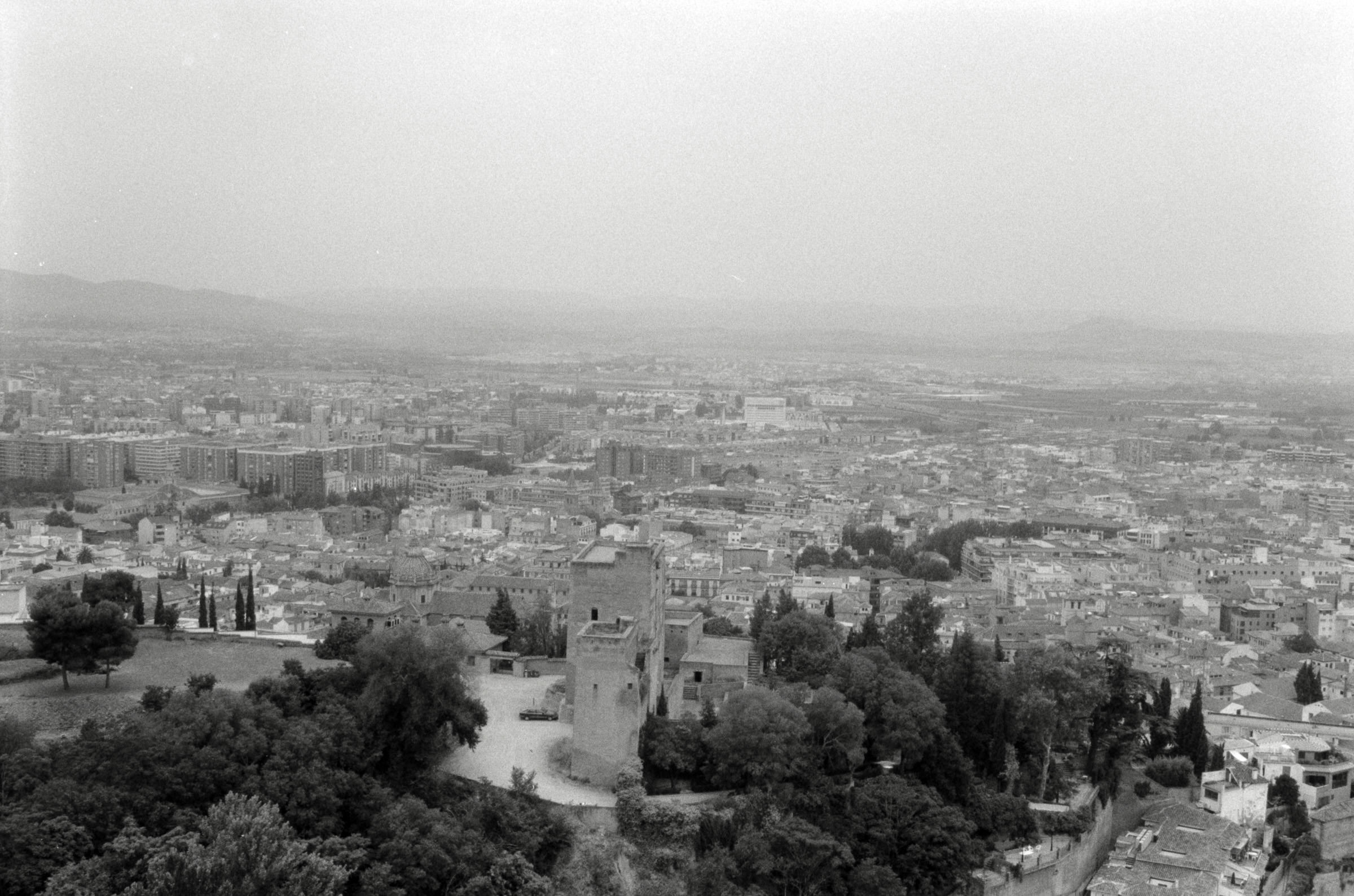 AHP F2001 07 002 sc240901 img12 NLP